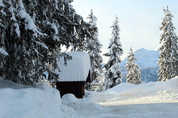 2019 Saisies neige soleil