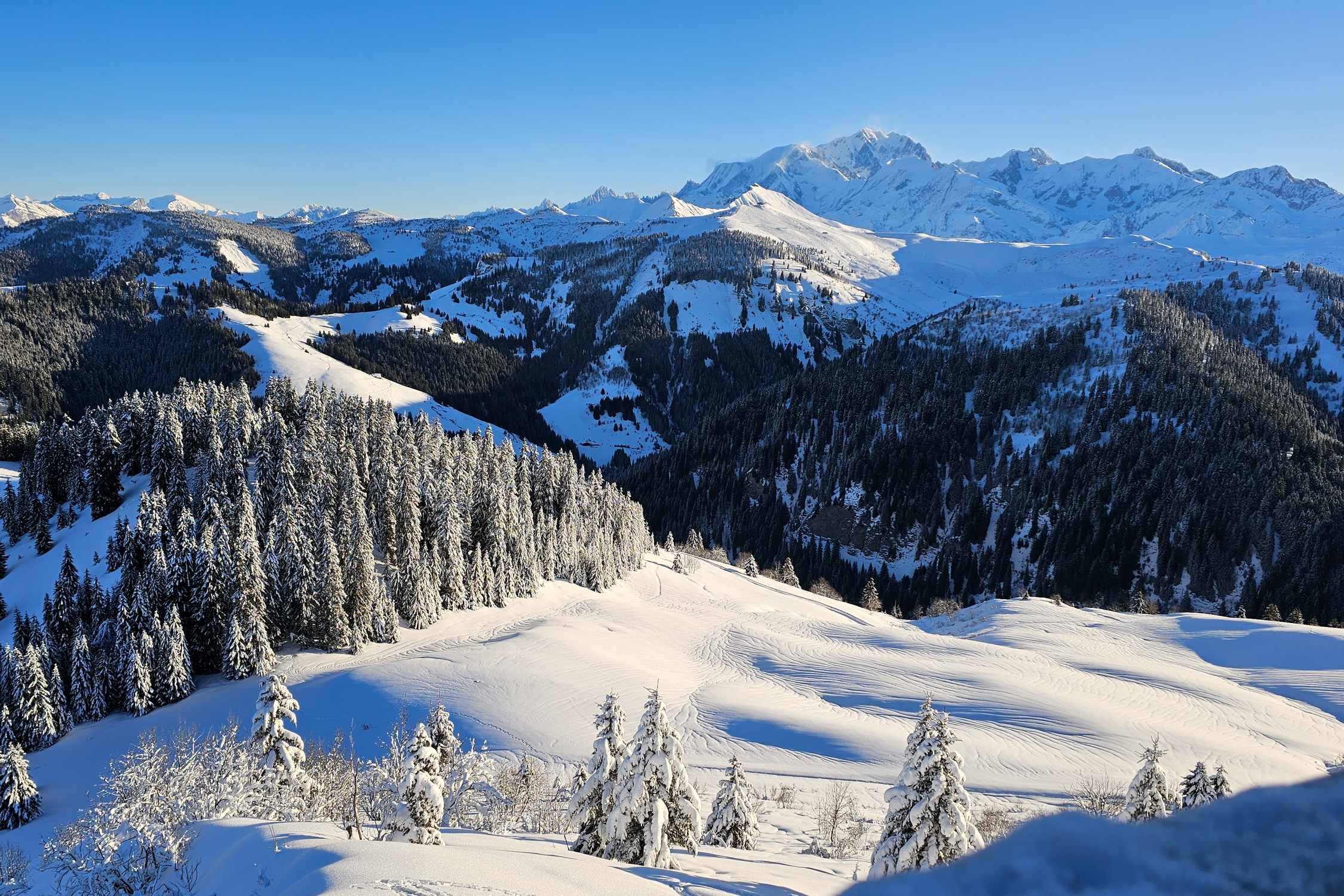 H O 20250113 092516 R4 R2