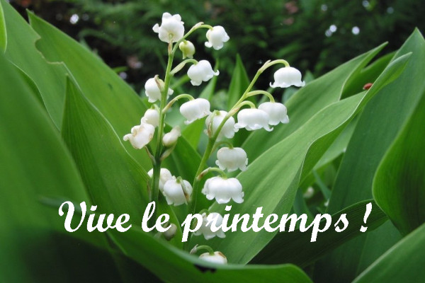 vive le printemps muguet