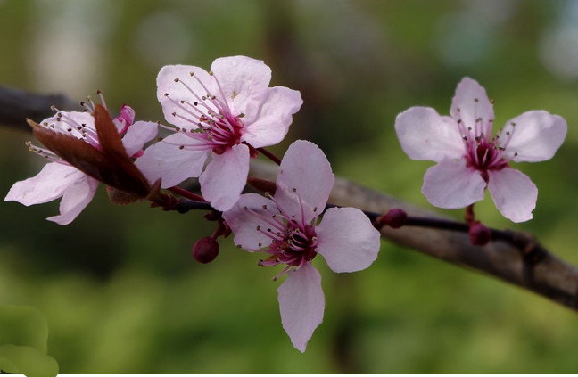 Gouter printemps2026
