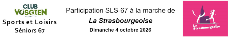 image SLS oct rose reduite